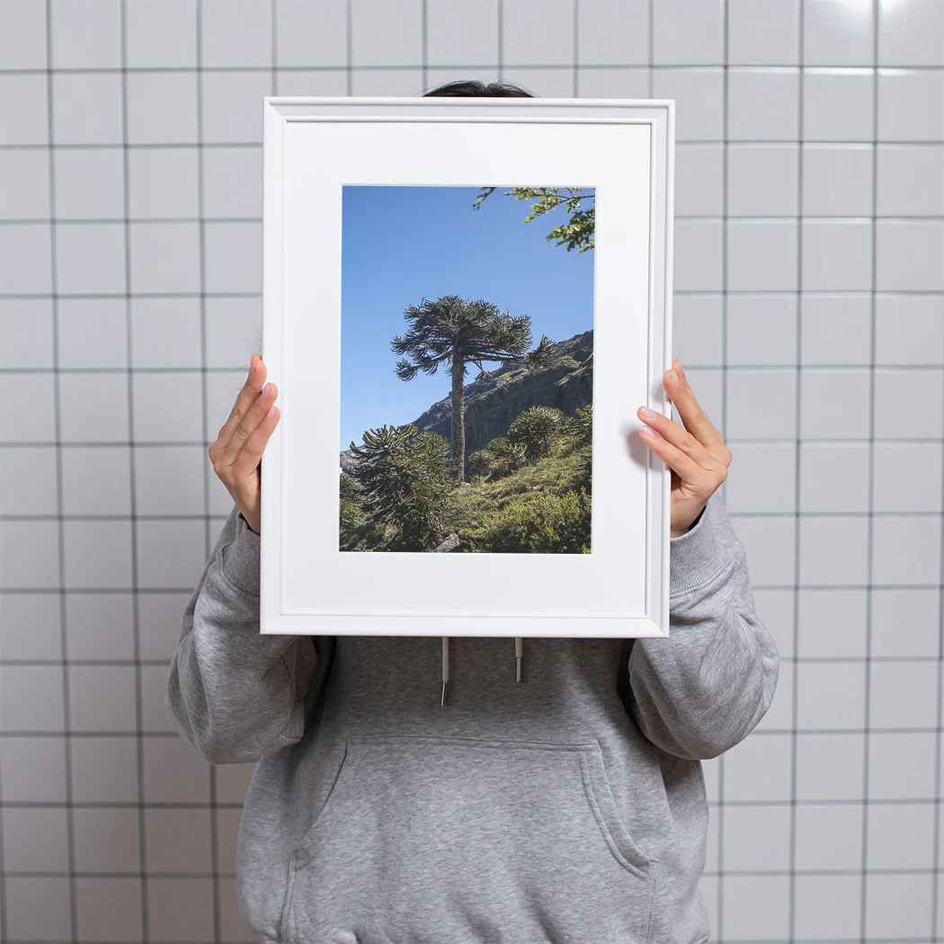 Fotografía 30x40 enmarcada