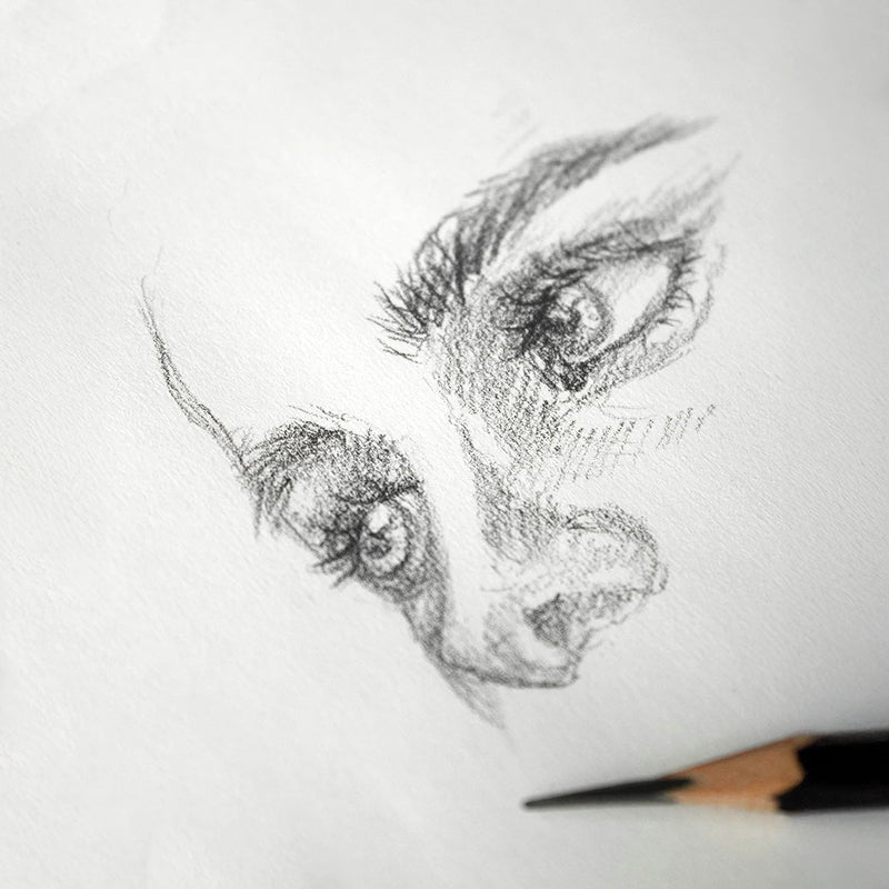 Dibujo tecnica lapiz grafito