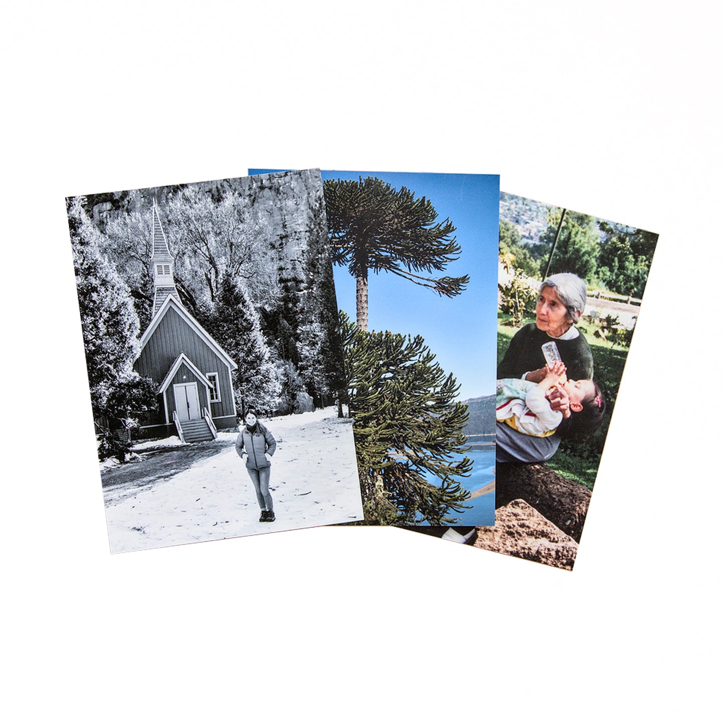 Conjunto de tres fotografías impresas de paisajes y retrato