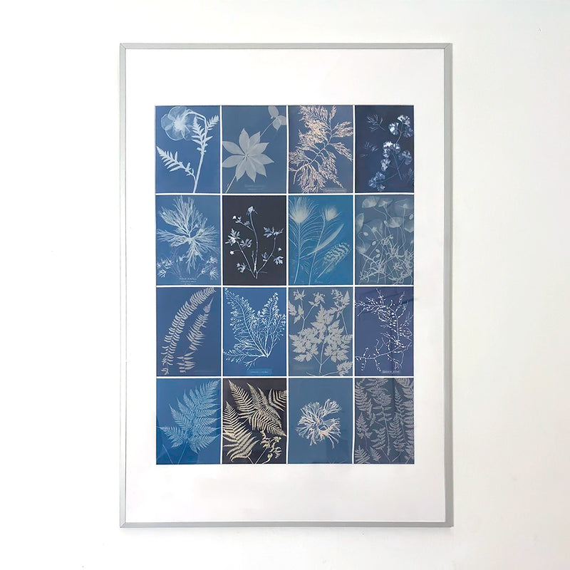 Fotografía A3+ Enmarcada 