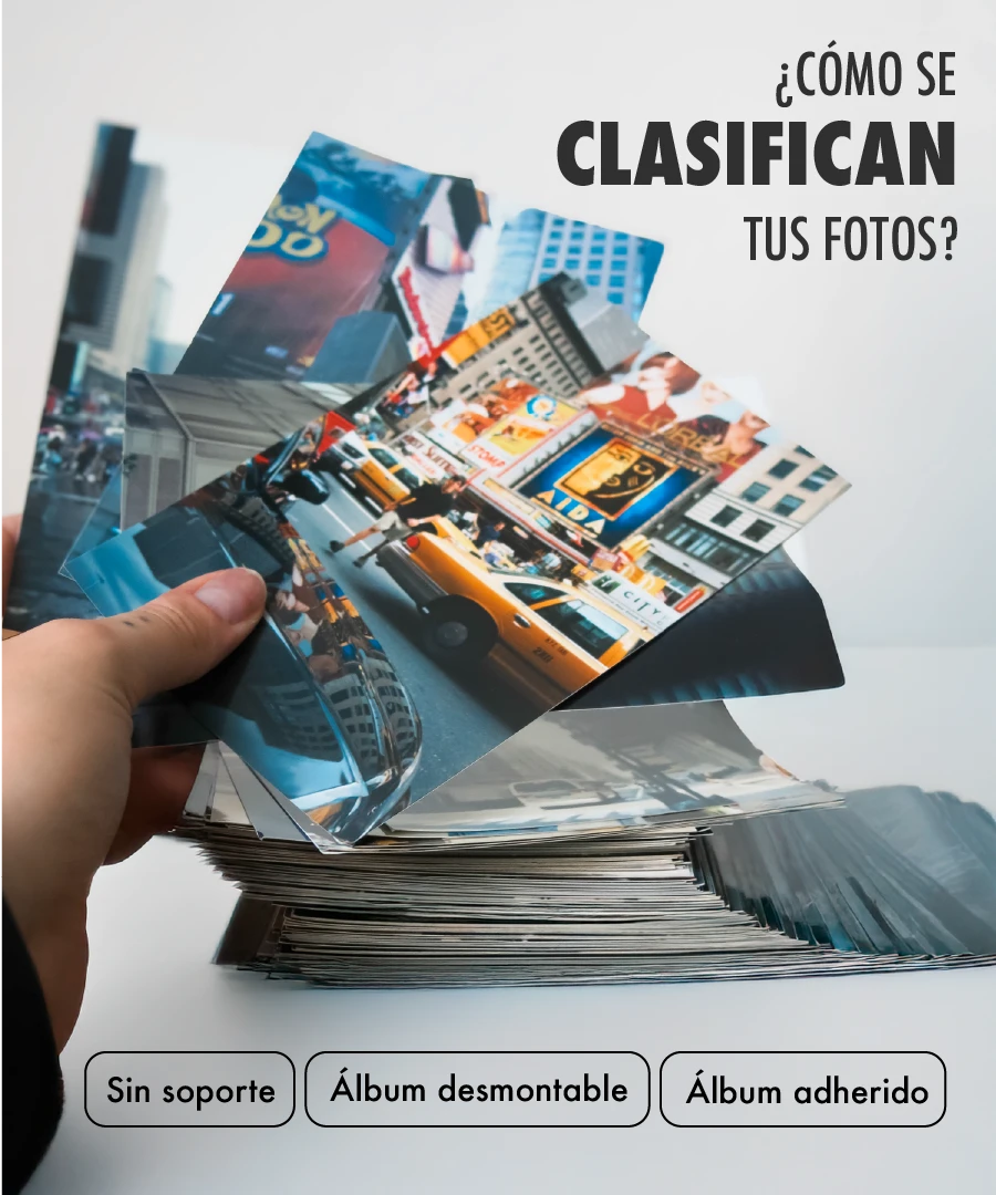 Clasificación de fotos
