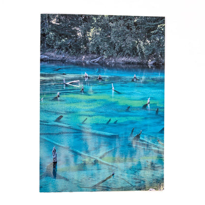 Fotografía a color 21x30
