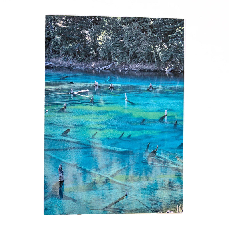Fotografía a color 21x30