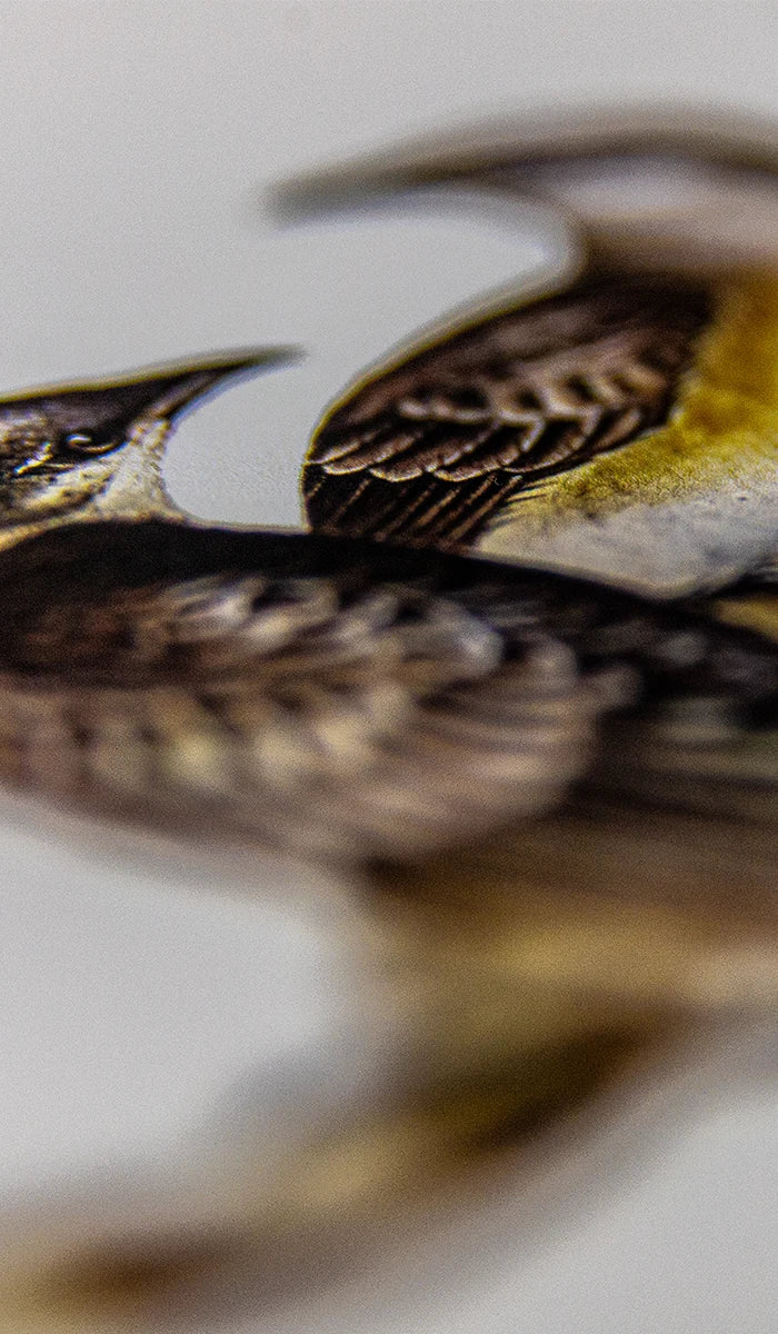 Close Up Goldenjet Etching