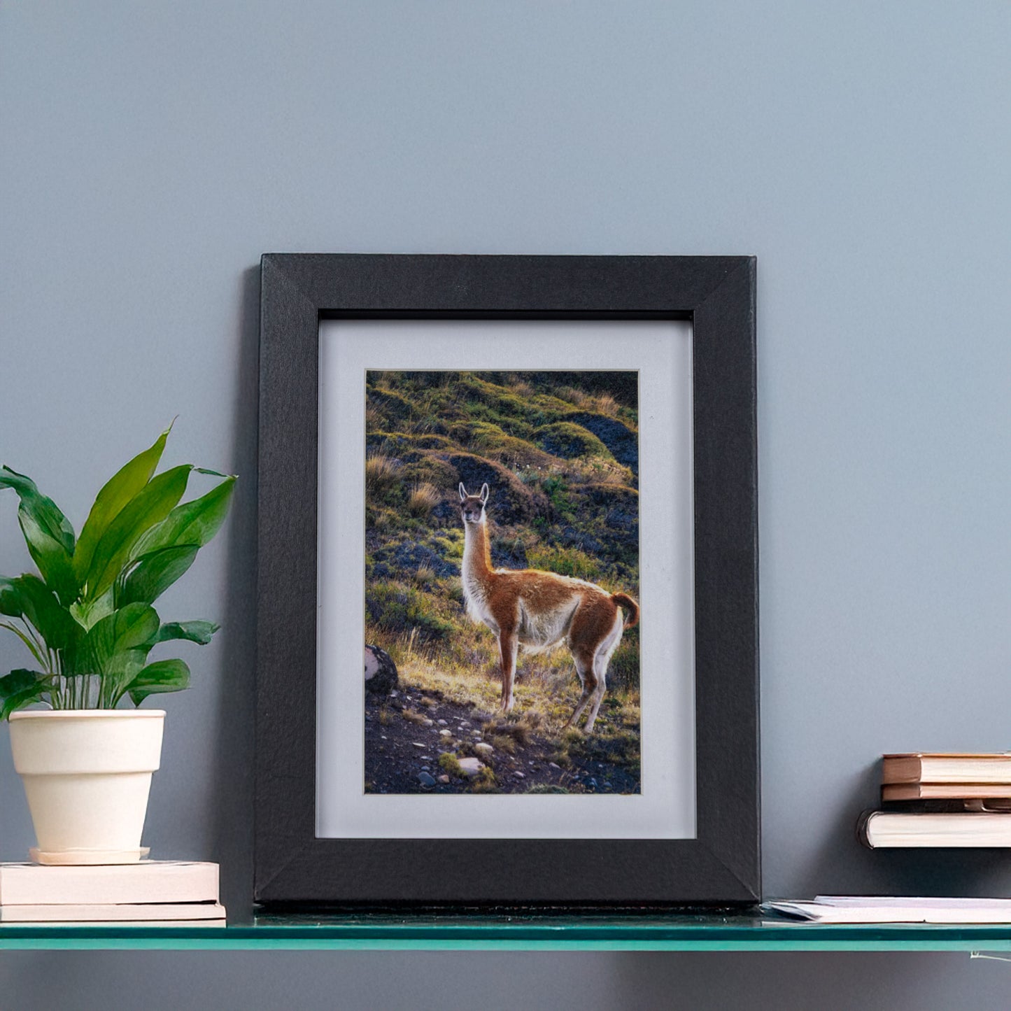 Marcos de MDF con Paspartú