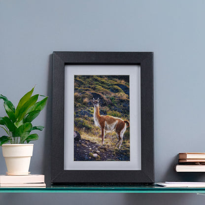 Marcos de MDF con Paspartú