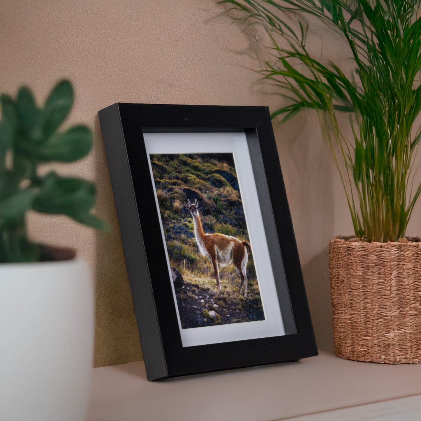 Marcos de MDF con Paspartú