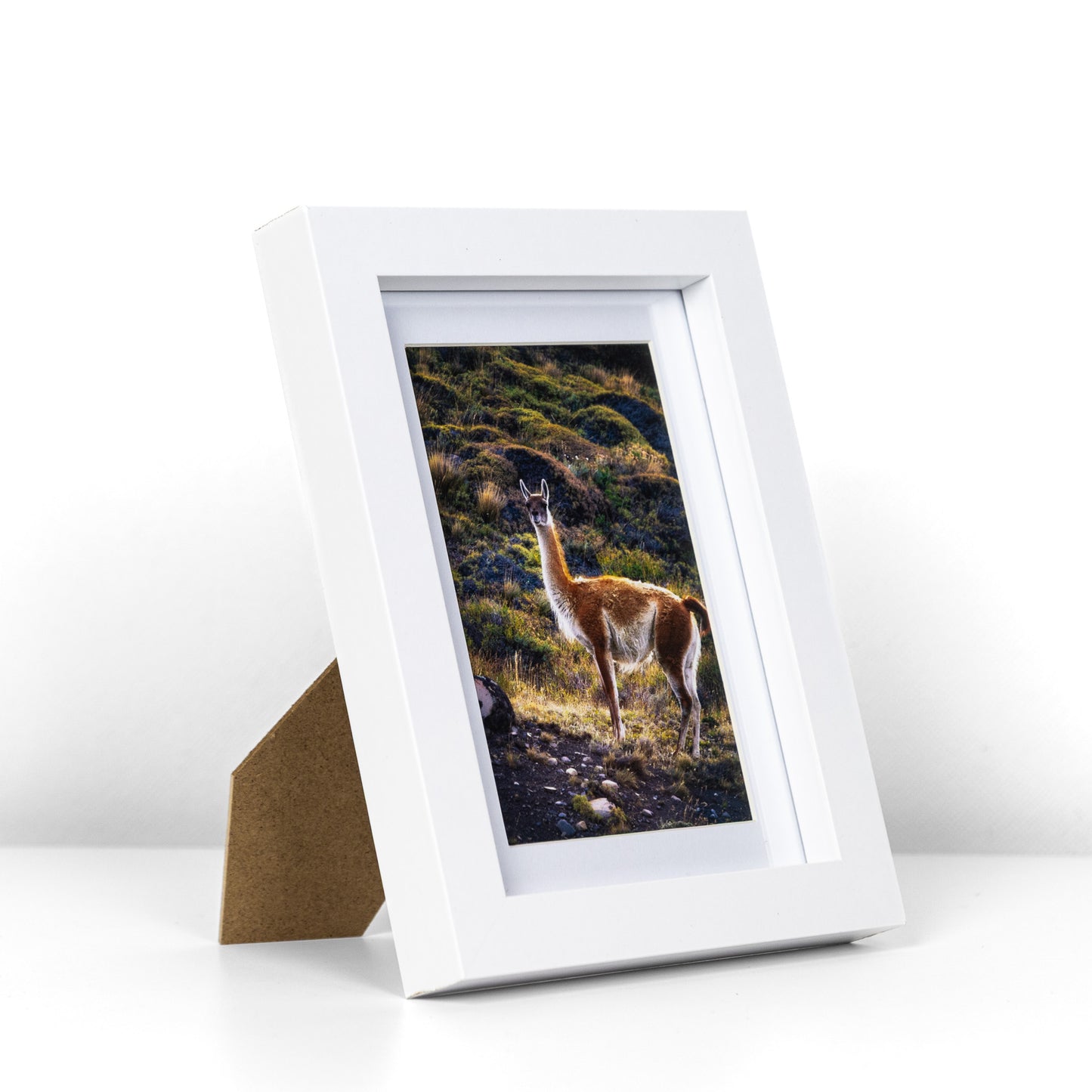 Marcos de MDF con Paspartú