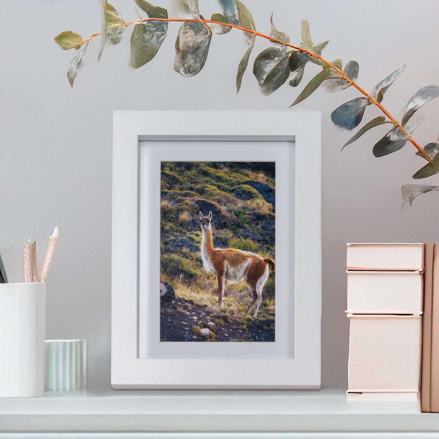 Marcos de MDF con Paspartú