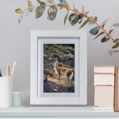 Marcos de MDF con Paspartú