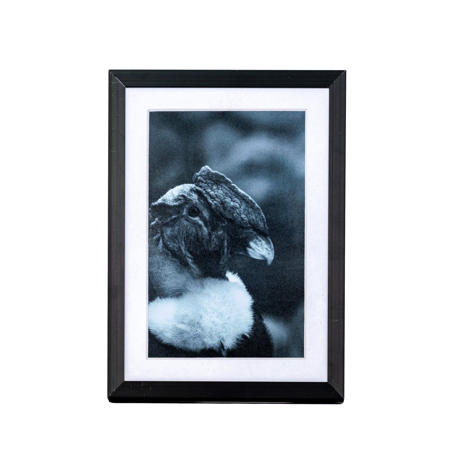 Marcos de Aluminio con Paspartú