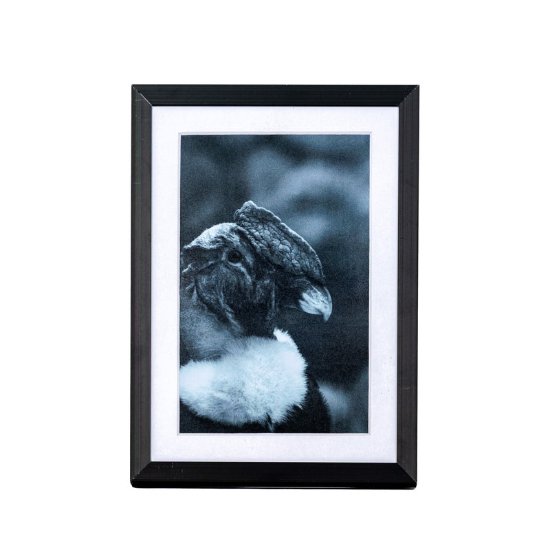 Marcos de Aluminio con Paspartú