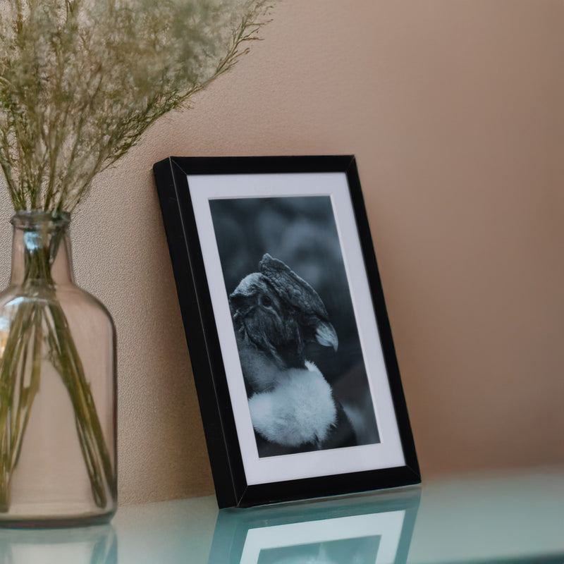 Marcos de Aluminio con Paspartú