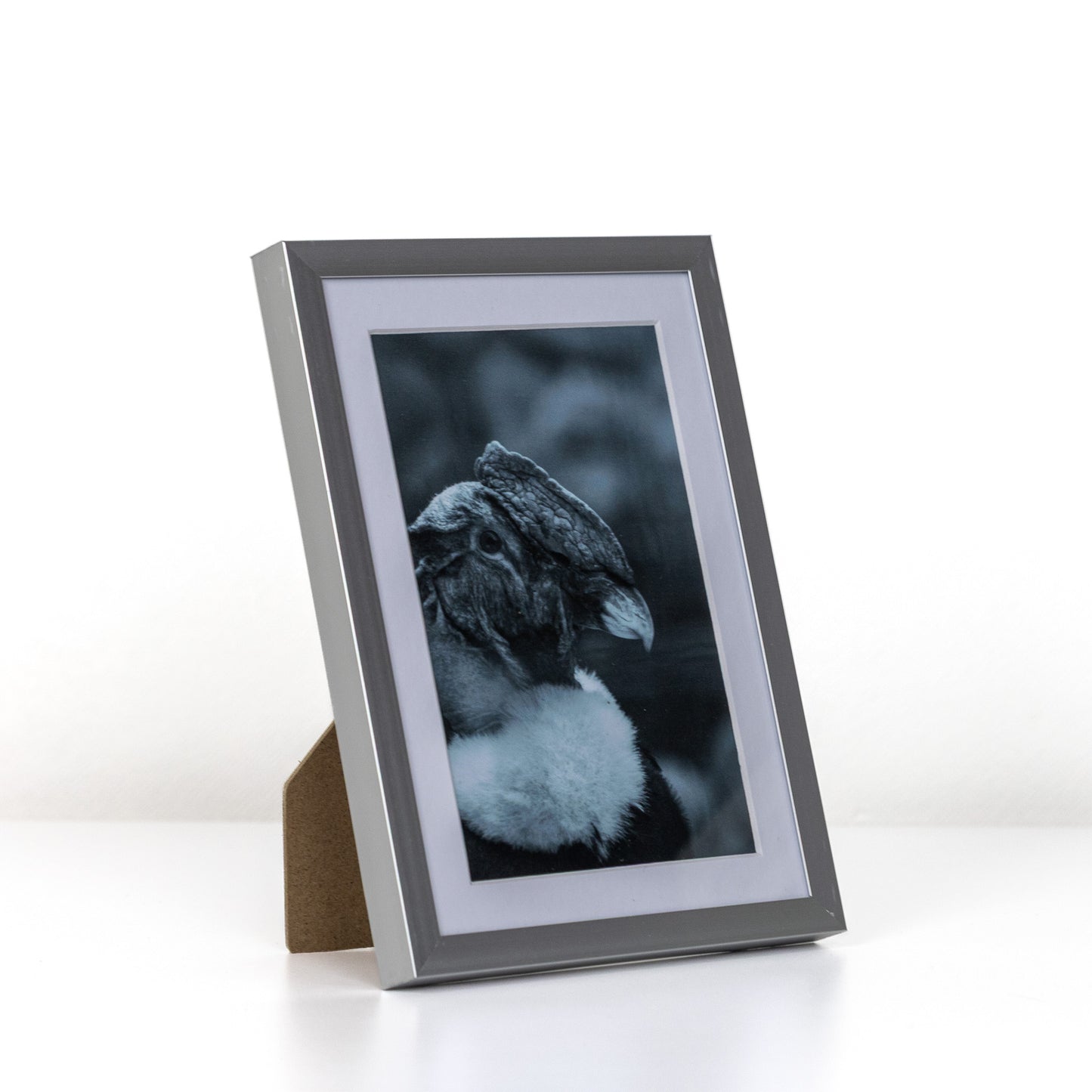 Marcos de Aluminio con Paspartú