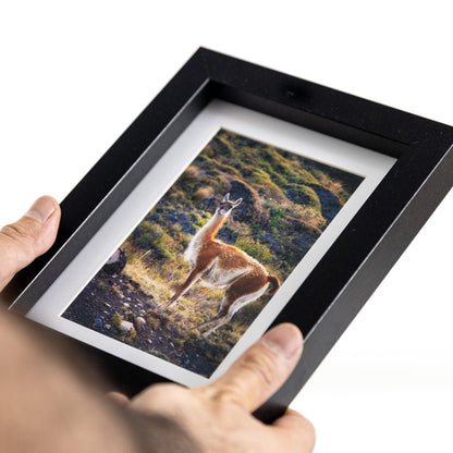 Marcos de MDF con Paspartú